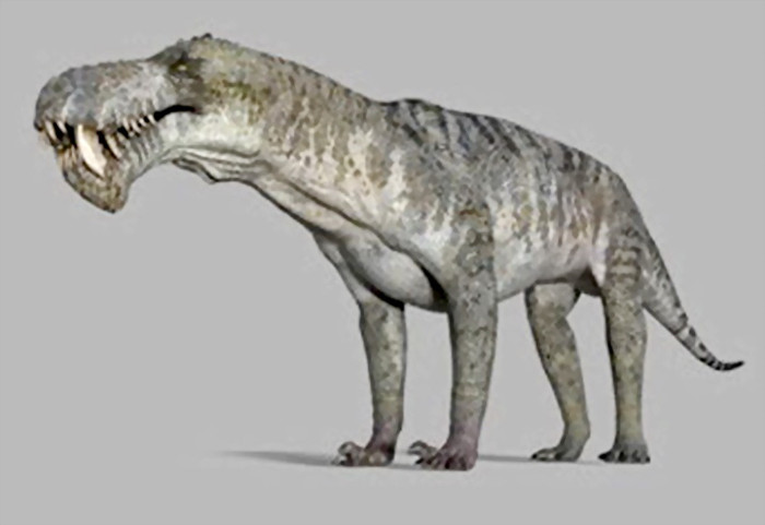 Picture 7 of The process of formation and evolution of life on Earth