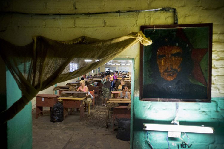 Picture 12 of The process of producing famous cigars in Cuba
