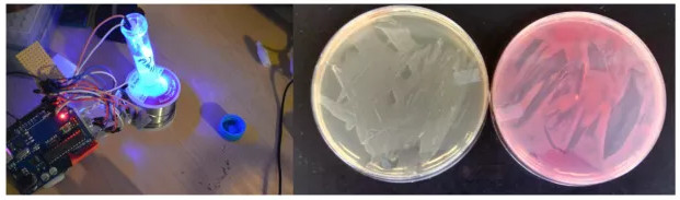 Picture 2 of The project helps you to edit your own DNA at home