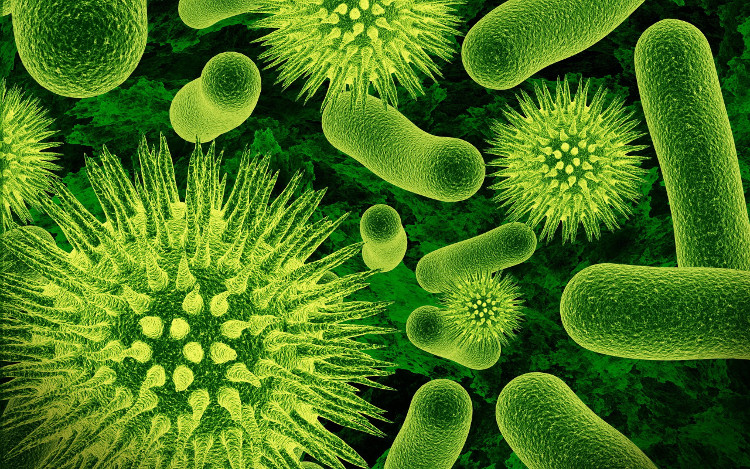 The project hunts for 1.7 million unknown viruses images 1