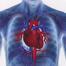 Picture 1 of The proportion of people dying from heart disease is increasing among young people