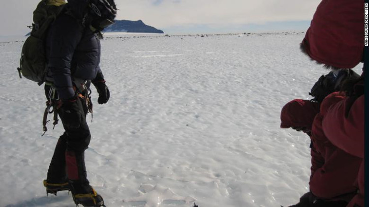 Picture 9 of The quest for the forest 280 million years ago in Antarctica