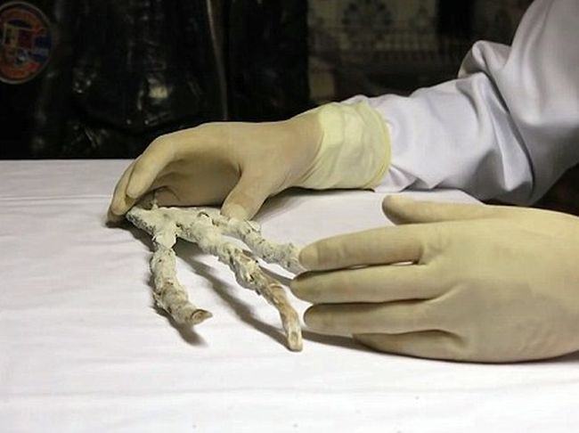 Picture 2 of The question of a giant 3-finger hand can only be aliens