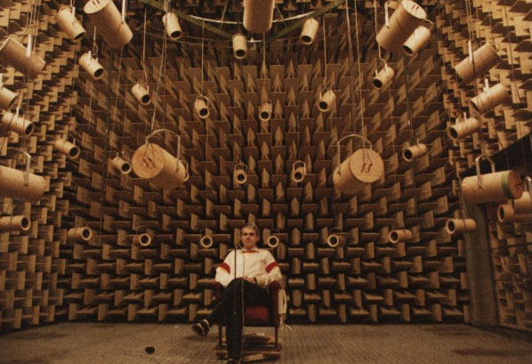 Picture 4 of The quietest room in the world: You can hear the sound of blood running on your head