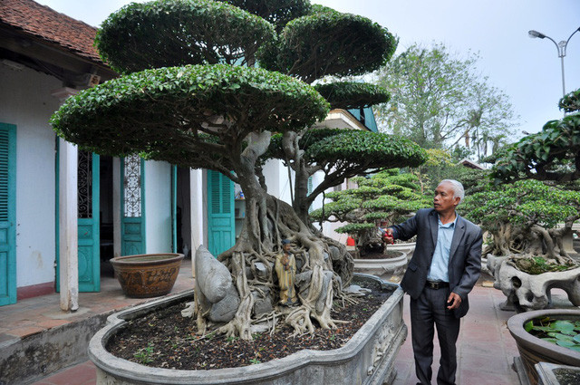 Picture 5 of The rare 'super bonsai' silver billions in Vietnam