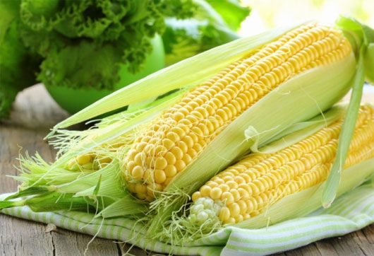Picture 1 of The reason for eating corn is healthy