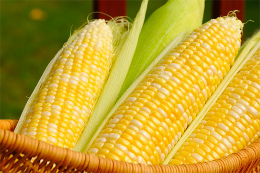 Picture 2 of The reason for eating corn is healthy