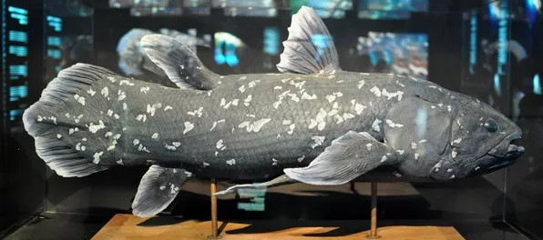 Picture 8 of The reason people always like to watch stories about sea monsters