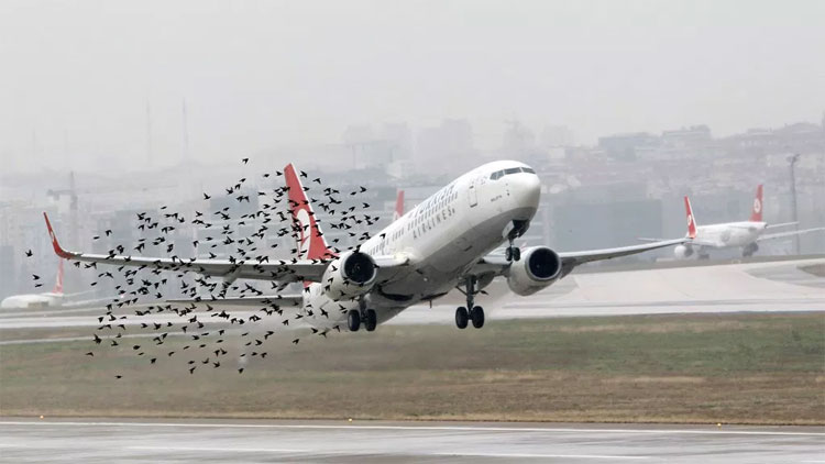 Picture 2 of The reason the plane is flying higher than the Everest peak