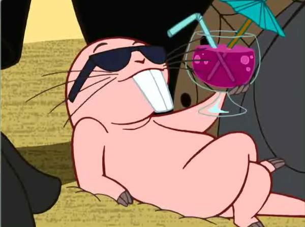 Picture 3 of The reason why East African mole rats can survive for 20 minutes without oxygen
