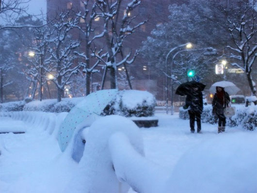 Picture 1 of The record snowstorm swept across Japan causing massive casualties