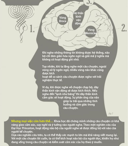 Picture 2 of The relationship between literacy and the brain