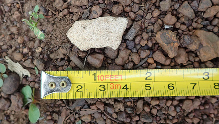 Picture 6 of The relics in the volcanic cave have bones of prehistoric people in Dak Nong
