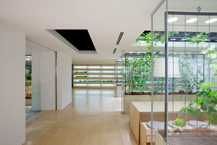 Picture 18 of The rice fields are ripe yellow in Japanese company office
