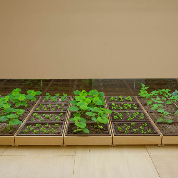 Picture 20 of The rice fields are ripe yellow in Japanese company office