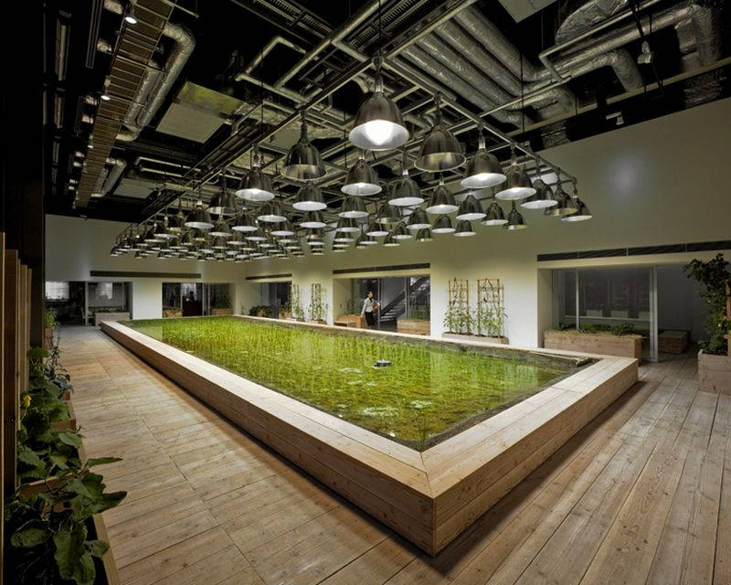 Picture 21 of The rice fields are ripe yellow in Japanese company office