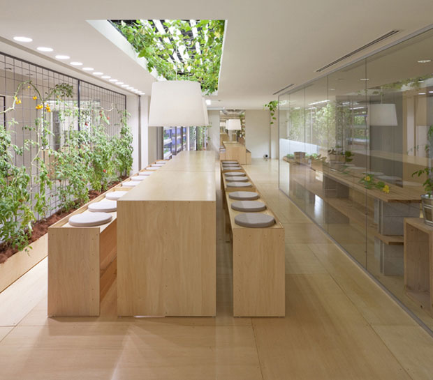 Picture 22 of The rice fields are ripe yellow in Japanese company office