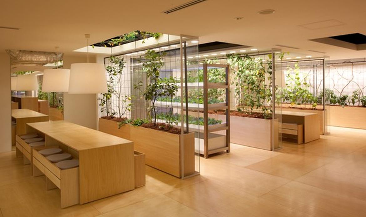 Picture 23 of The rice fields are ripe yellow in Japanese company office