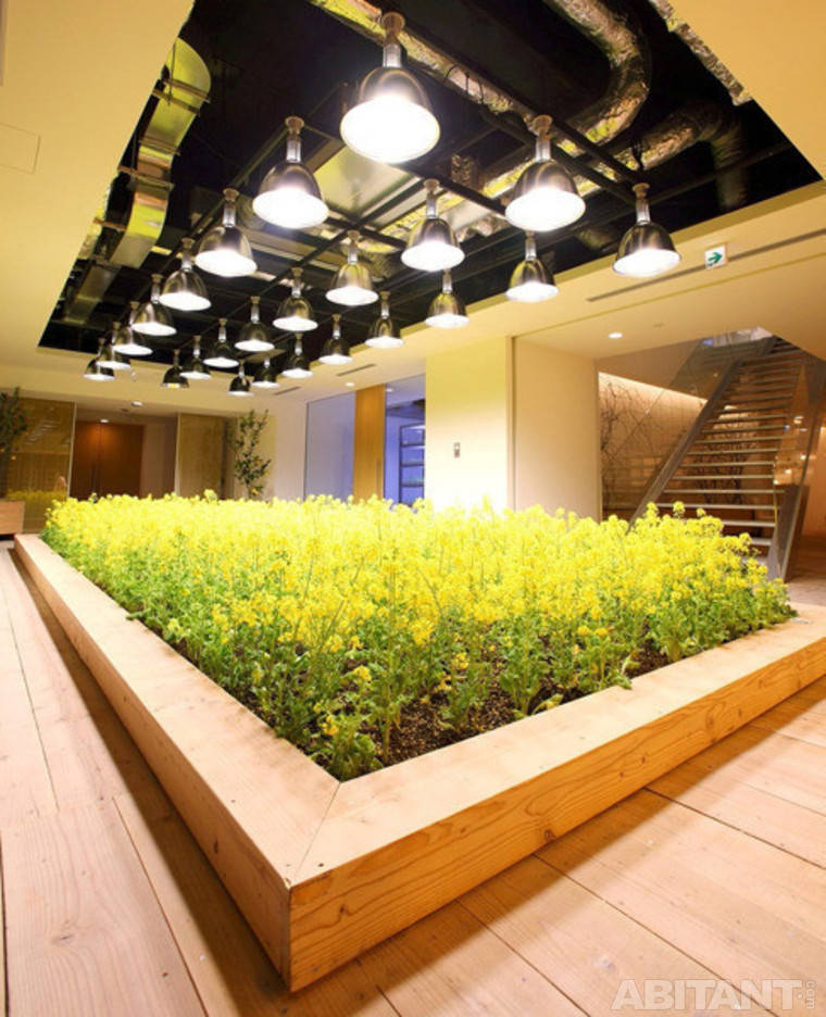 Picture 25 of The rice fields are ripe yellow in Japanese company office