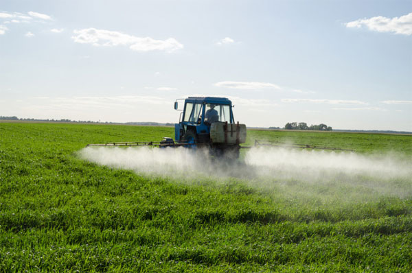 Picture 1 of The risk of children with autism is caused by their mother's exposure to pesticides during pregnancy