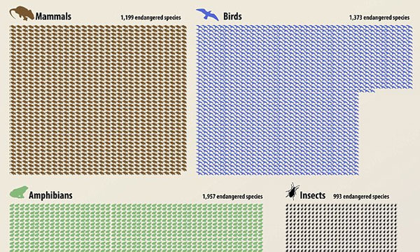 Picture 1 of The risk of the 6th great extinction on Earth