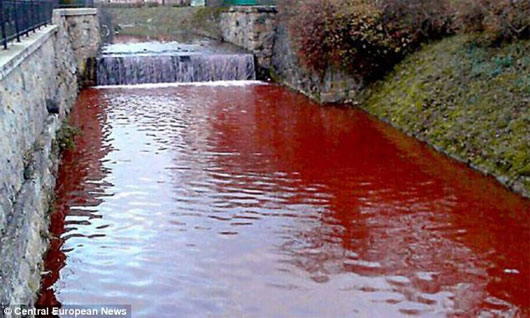 Picture 1 of The river of blood appeared after a night