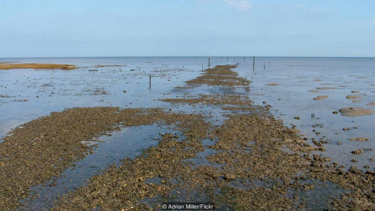 Picture 2 of The road of 'hell' kills more than 100 people in the UK