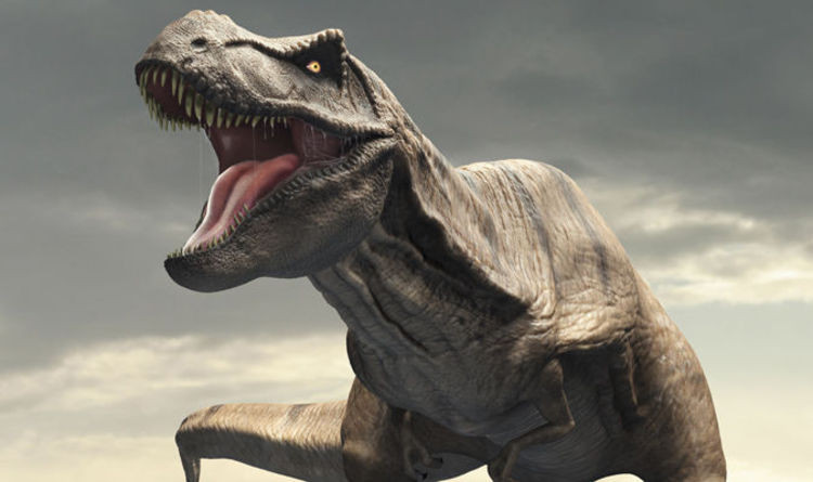 Picture 1 of The roar makes people listen to the hair-raising of the tyrant dinosaur