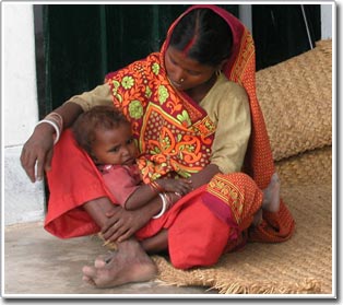 Picture 1 of The role of vitamin A and zinc in the treatment of malaria