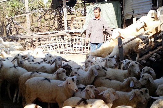 Picture 1 of The rush to protect the genetic resources of Vietnam's biodiversity