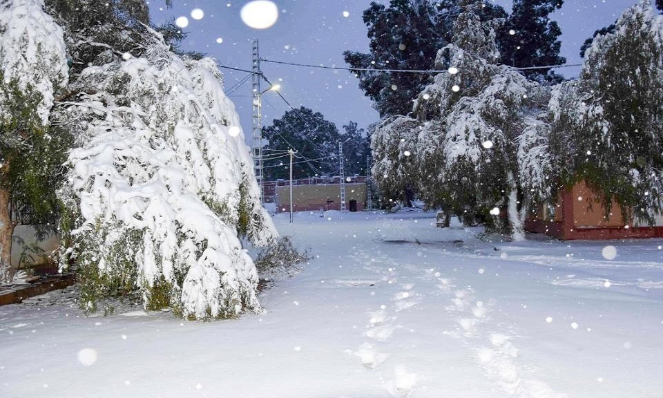 Picture 4 of The Sahara is submerged under a meter of snow