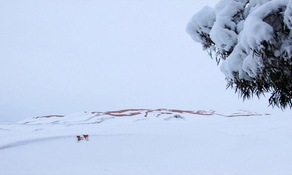 Picture 7 of The Sahara is submerged under a meter of snow