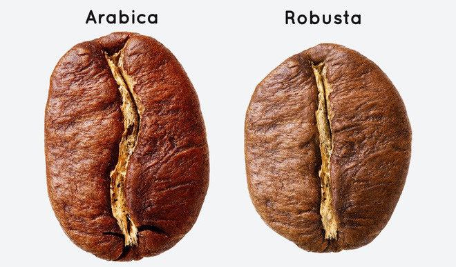 Picture 1 of The same coffee but why do we enjoy the taste in each other?