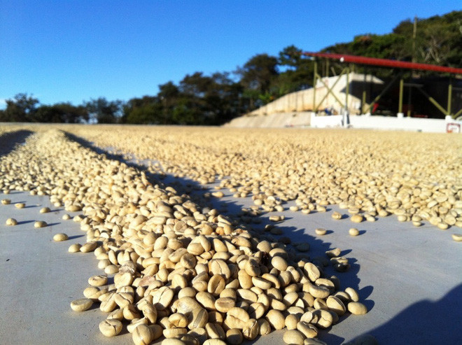 Picture 3 of The same coffee but why do we enjoy the taste in each other?