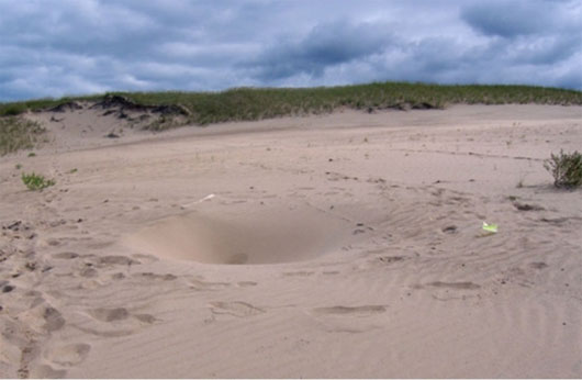 Picture 1 of The sand pit