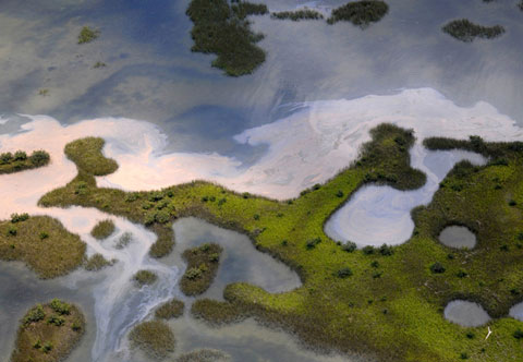 Picture 5 of The scary scene about the US oil spill