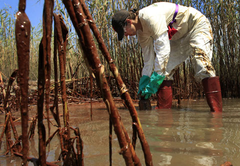 Picture 9 of The scary scene about the US oil spill