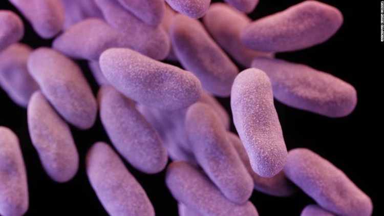 Picture 2 of The scary truth about antibiotic-resistant bacteria