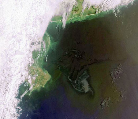 Picture 6 of The scene of oil spill from the universe