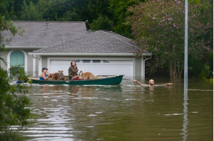 Picture 7 of The scene of terrible flooding in the United States after the typhoon Harvey landed