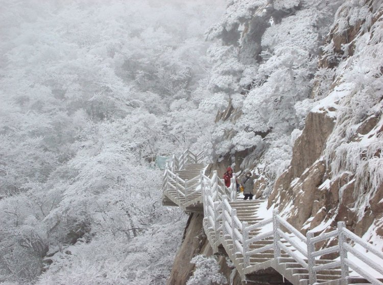 Picture 11 of The scene of the summit of Quang Minh where martial Lam gathered