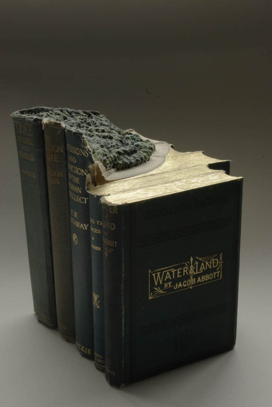 Picture 6 of The scenery is mesmerizing from ... old books