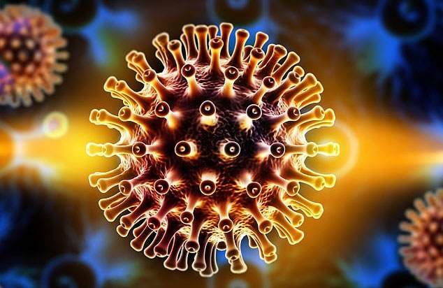 Picture 1 of The scientist announced that he had destroyed the HIV-infected cells
