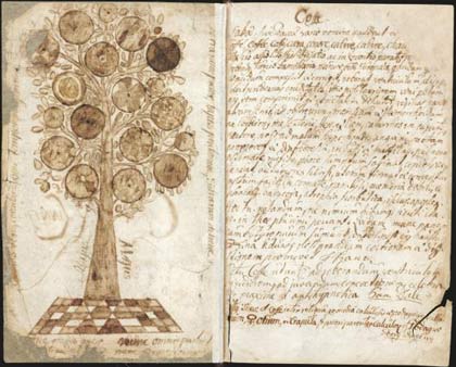 Picture 2 of The scientist Linnaeus - the decoder of nature