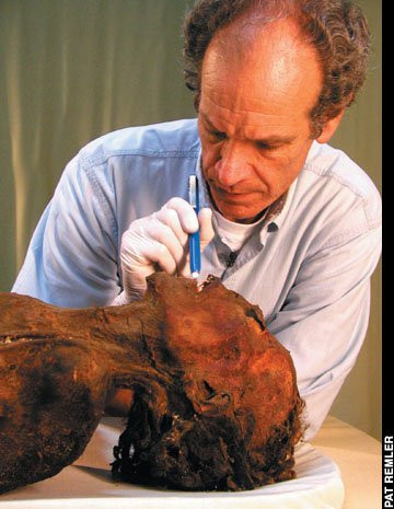 Picture 5 of The screaming mummy was intriguing in the Egyptian tomb