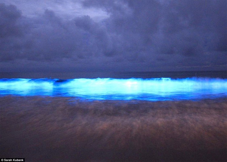 Picture 6 of The sea water just touches emits blue light