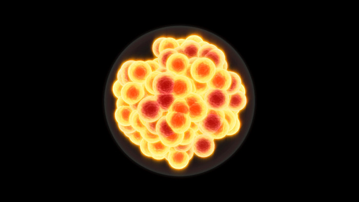 Picture 4 of The search for new elements will become very difficult from now on