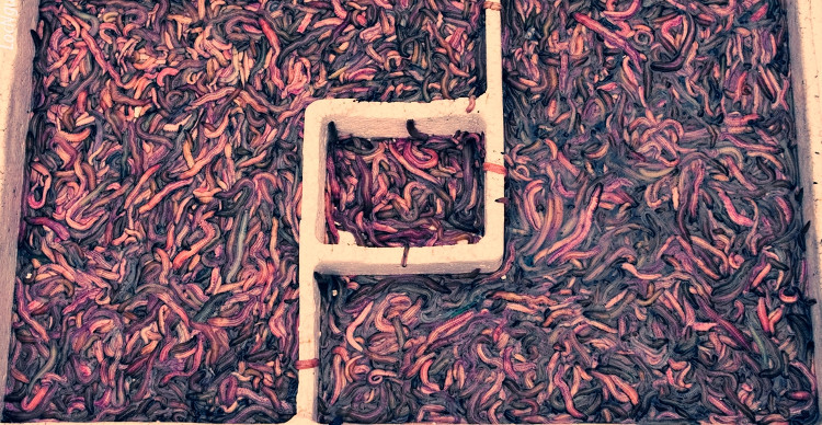 The season of raking, eating must remember images 4
