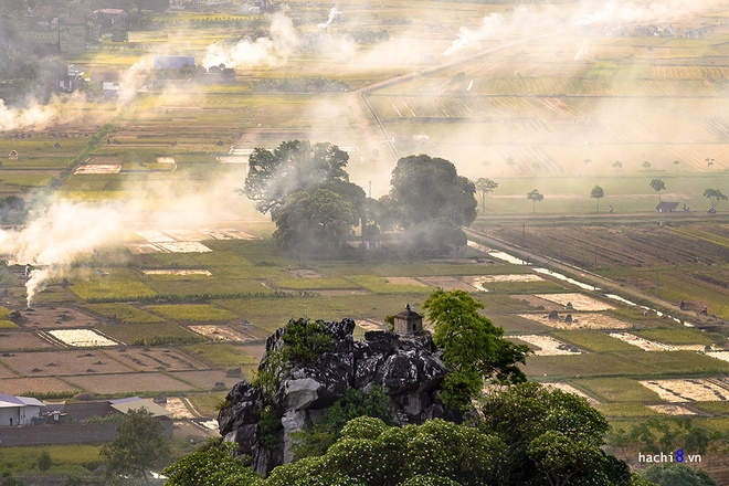 Picture 10 of The season of ripe yellow rice at the foot of Tram mountain in the outskirts of Hanoi