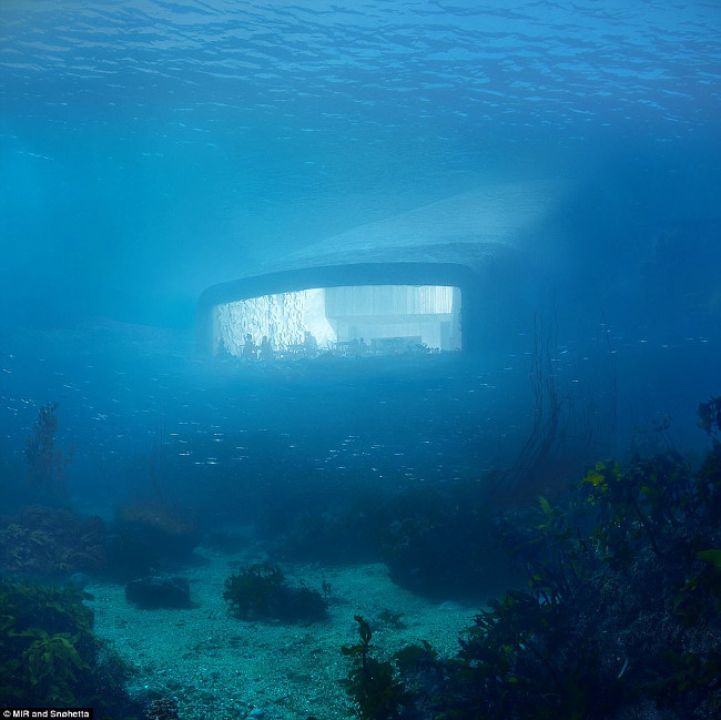 Picture 4 of The secret hidden behind the giant concrete block under the sea